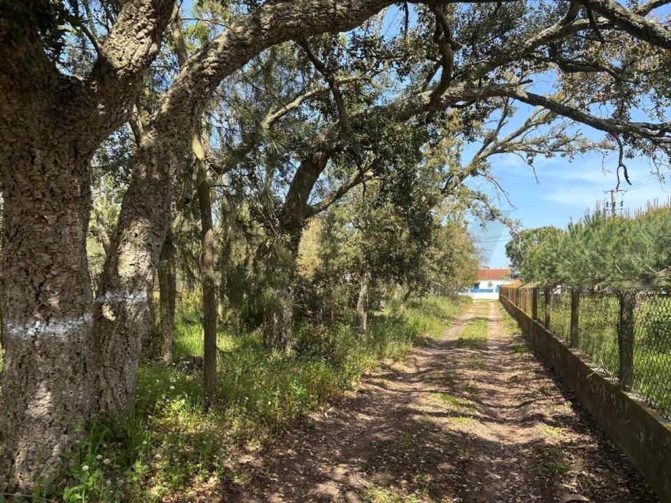 Terreno para Venda em Salvaterra de Magos e Foros de Salvaterra Foto 10