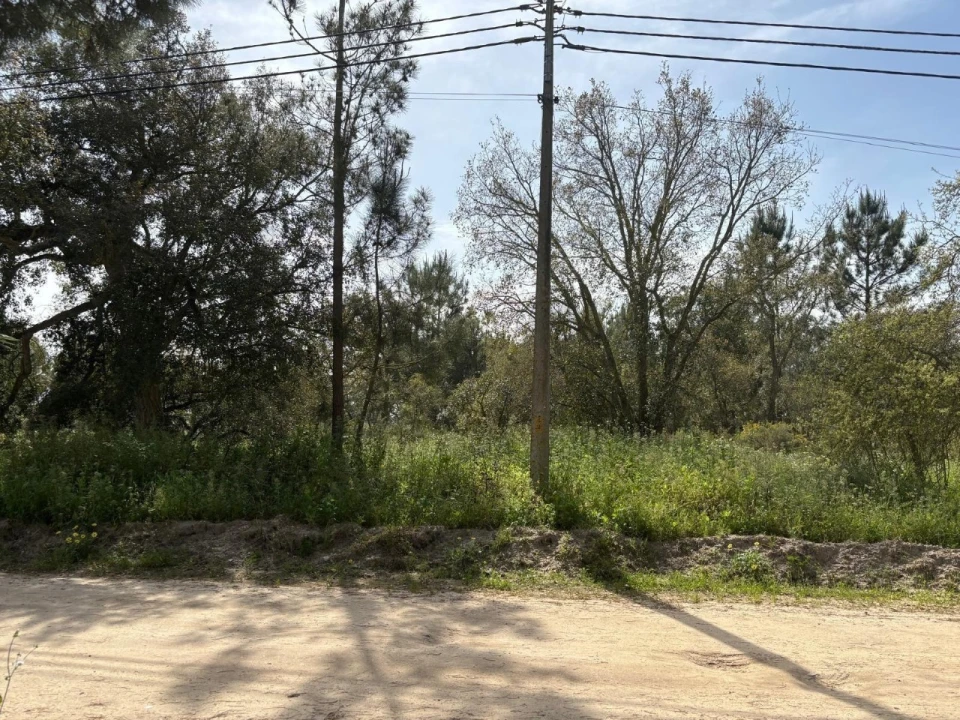 Terreno para Venda em Salvaterra de Magos e Foros de Salvaterra Foto 18