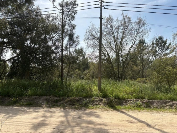 Terreno para Venda em Salvaterra de Magos e Foros de Salvaterra Foto 18