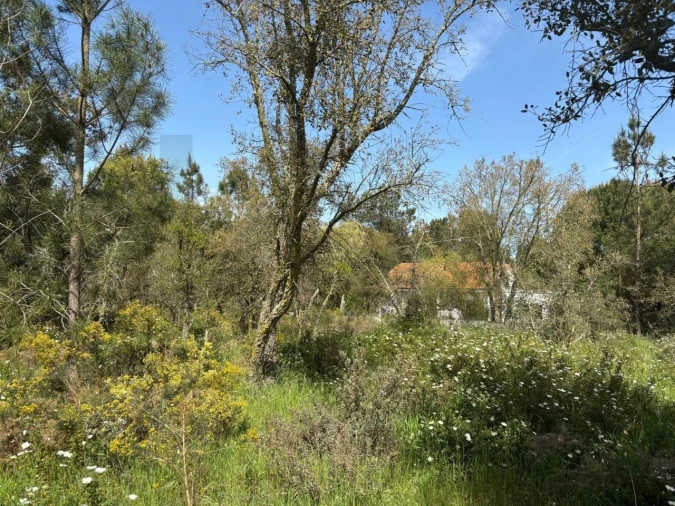 Terreno para Venda em Salvaterra de Magos e Foros de Salvaterra Foto 11