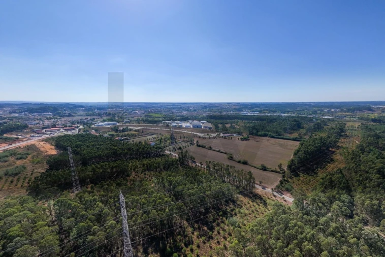 Terreno para Venda em Famalicão Foto 6