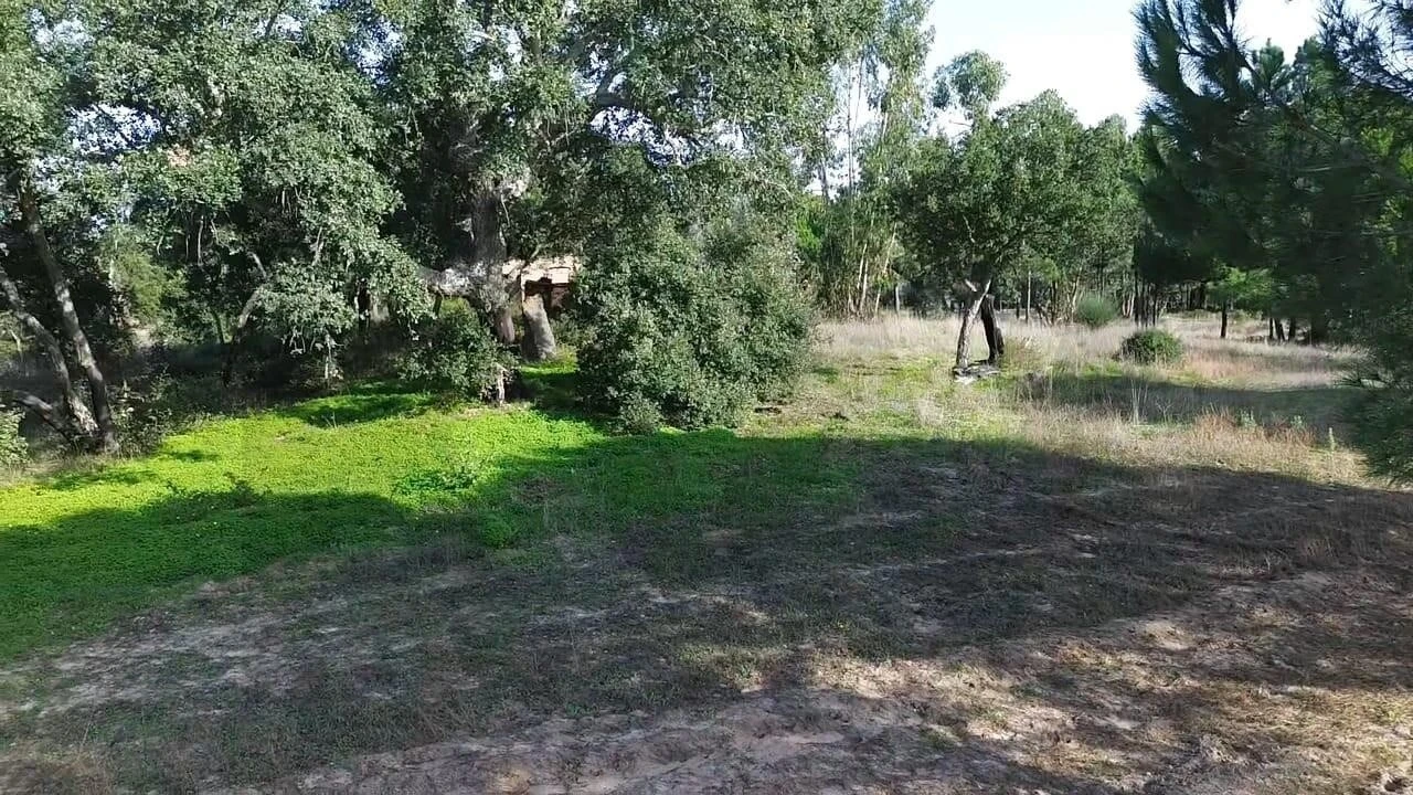 Terreno para Venda em Melides Foto 1