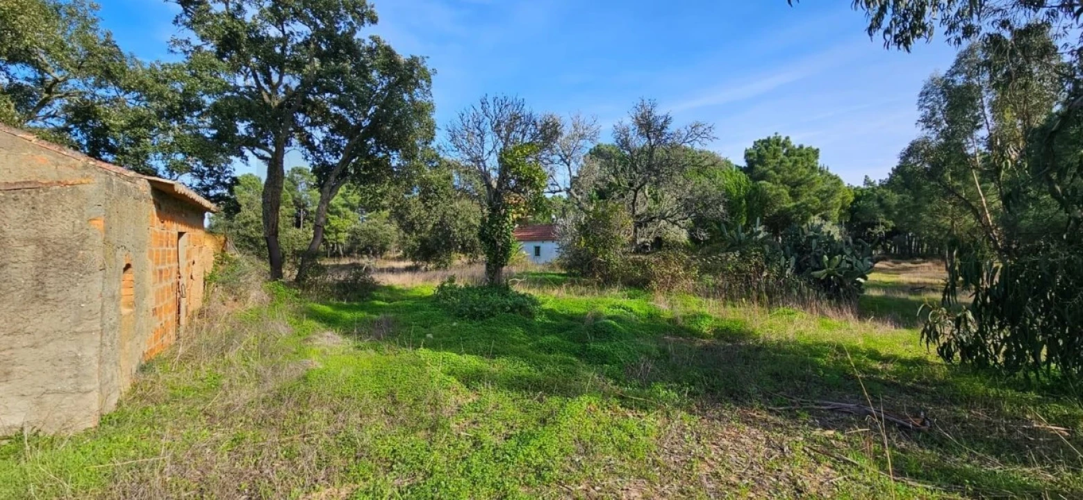 Terreno para Venda em Melides Foto 2