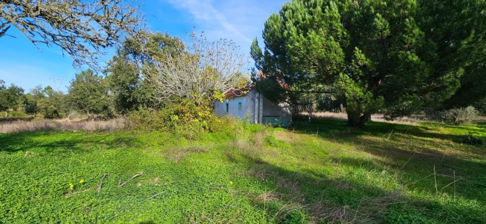 Terreno para Venda em Melides Foto 5