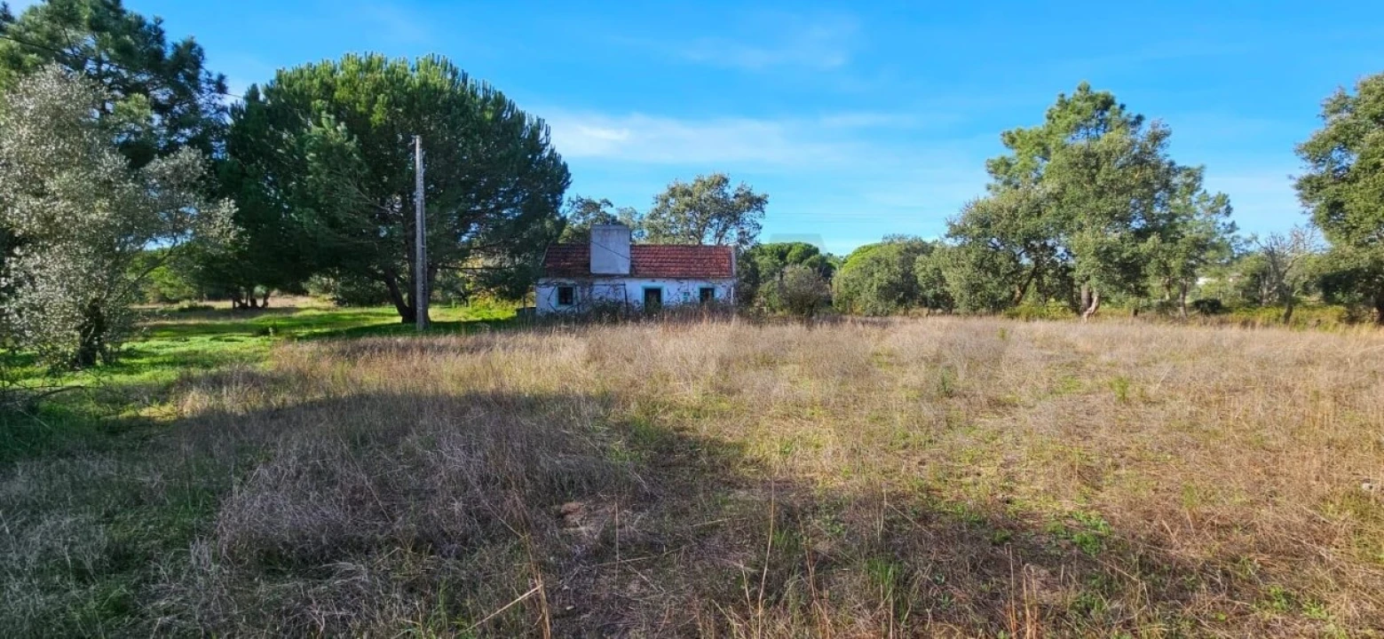 Terreno para Venda em Melides Foto 8