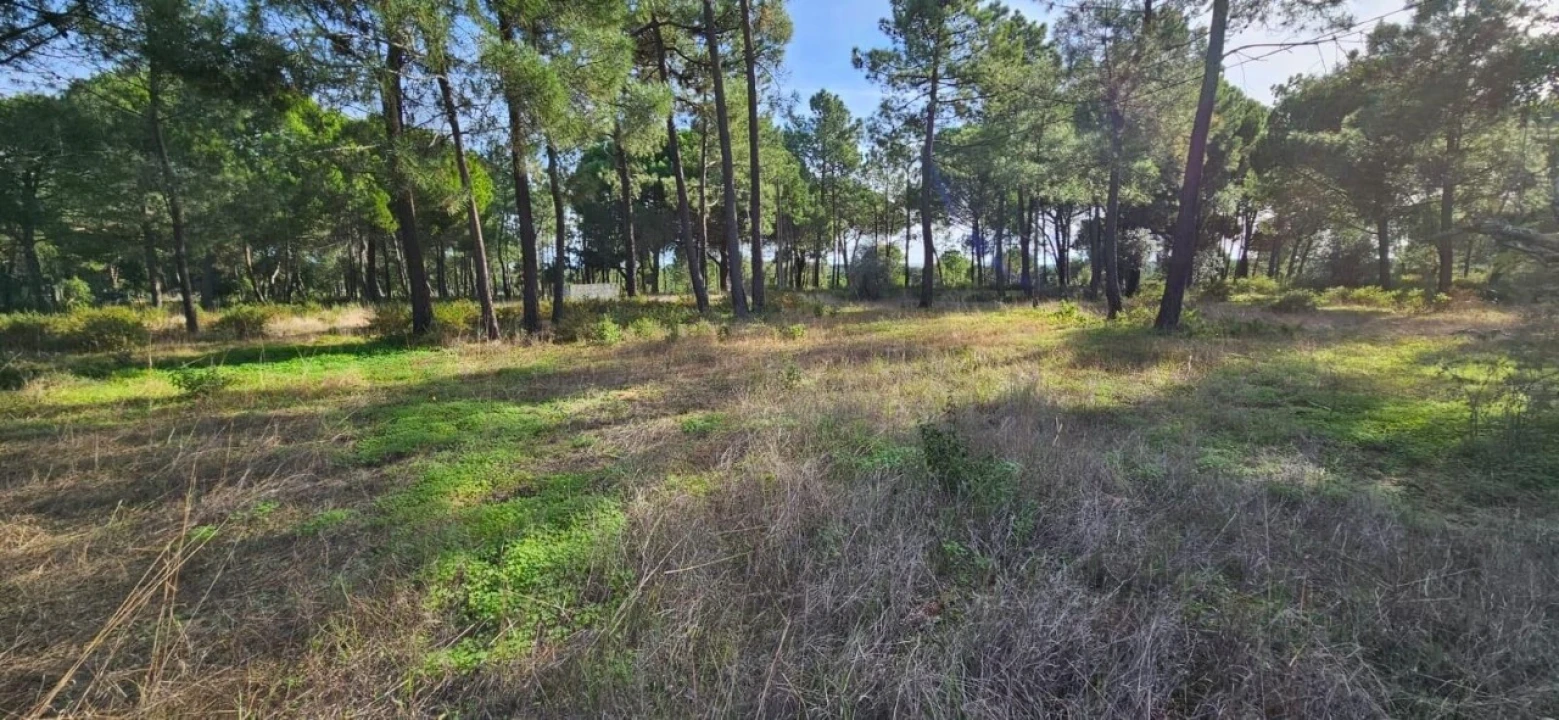 Terreno para Venda em Melides Foto 9