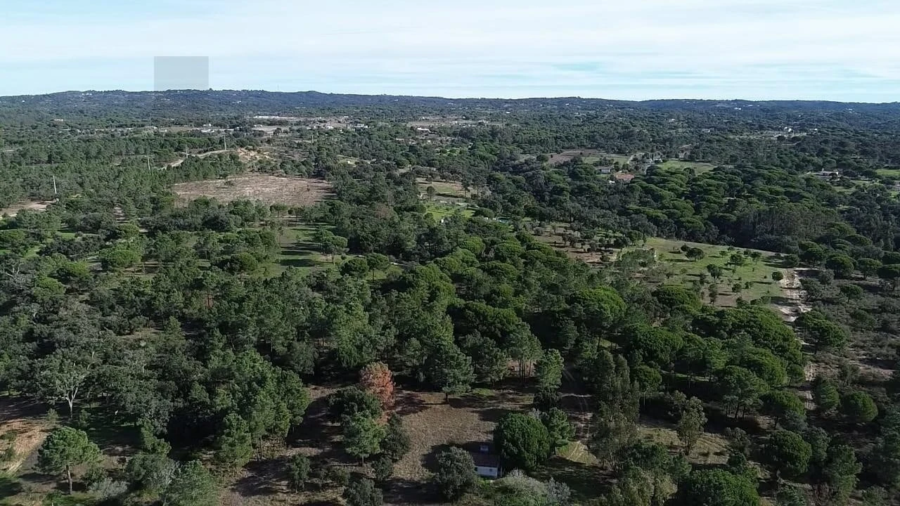 Terreno para Venda em Melides Foto 10