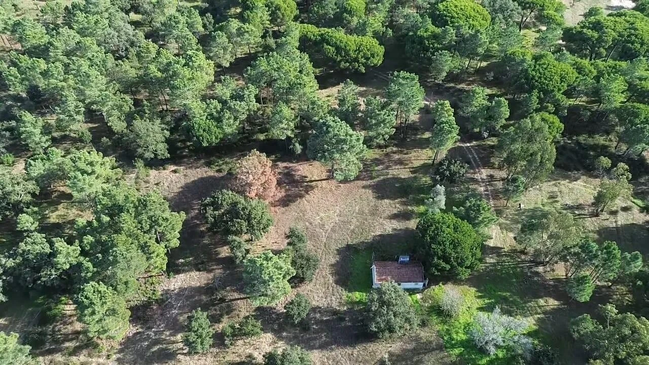 Terreno para Venda em Melides Foto 12