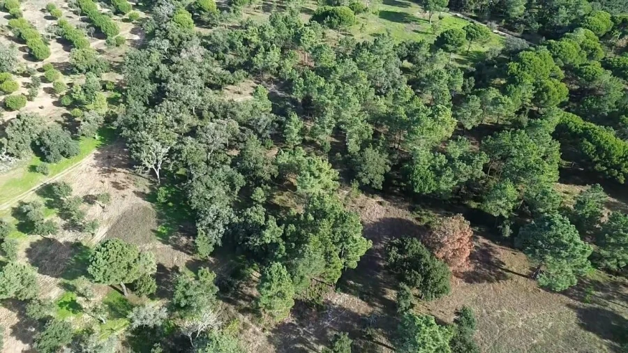 Terreno para Venda em Melides Foto 13