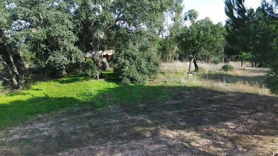 Terreno para Venda em Melides