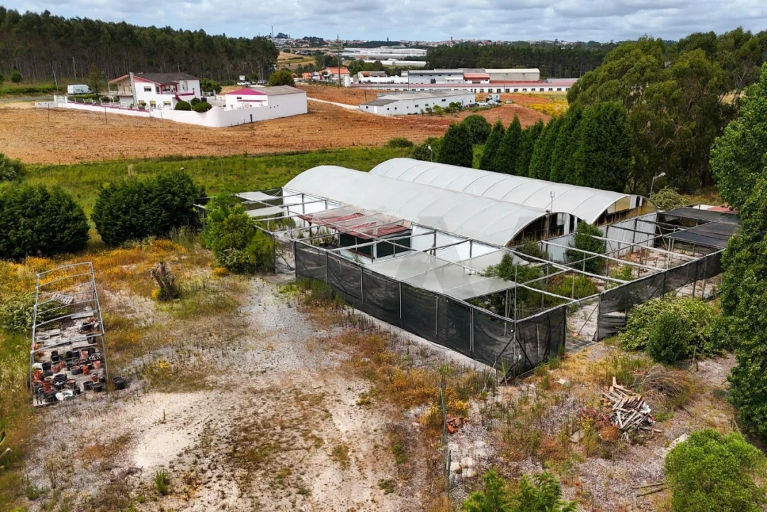 Terreno para Venda em Ramalhal Foto 12