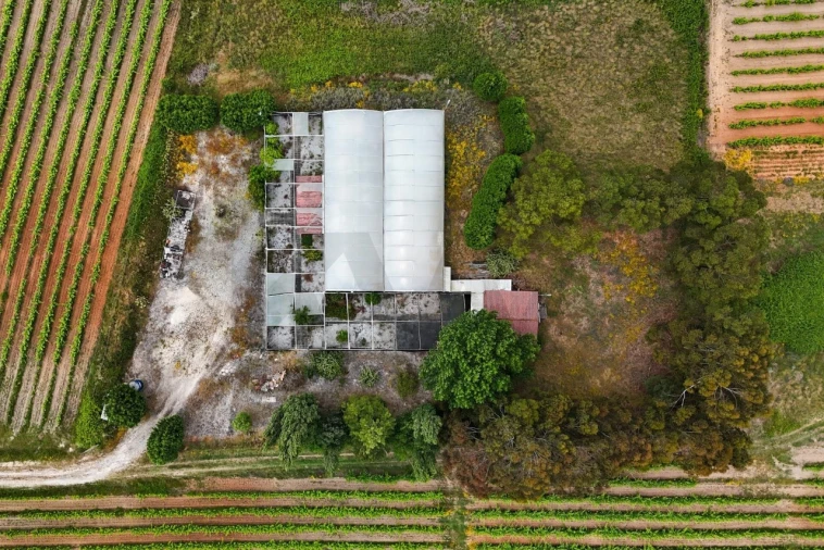 Terreno para Venda em Ramalhal Foto 2