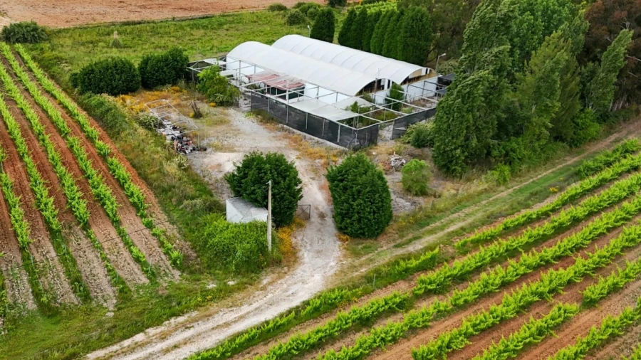 Terreno para Venda em Ramalhal