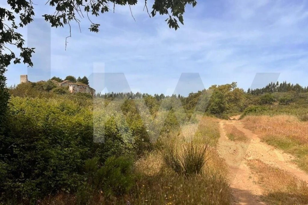 Terreno para Venda em Santiago do Cacém, Santa Cruz e São Bartolomeu da Serra Foto 28