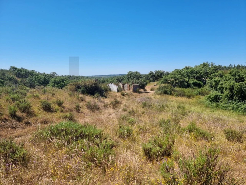 Terreno para Venda em Santiago do Cacém, Santa Cruz e São Bartolomeu da Serra Foto 29