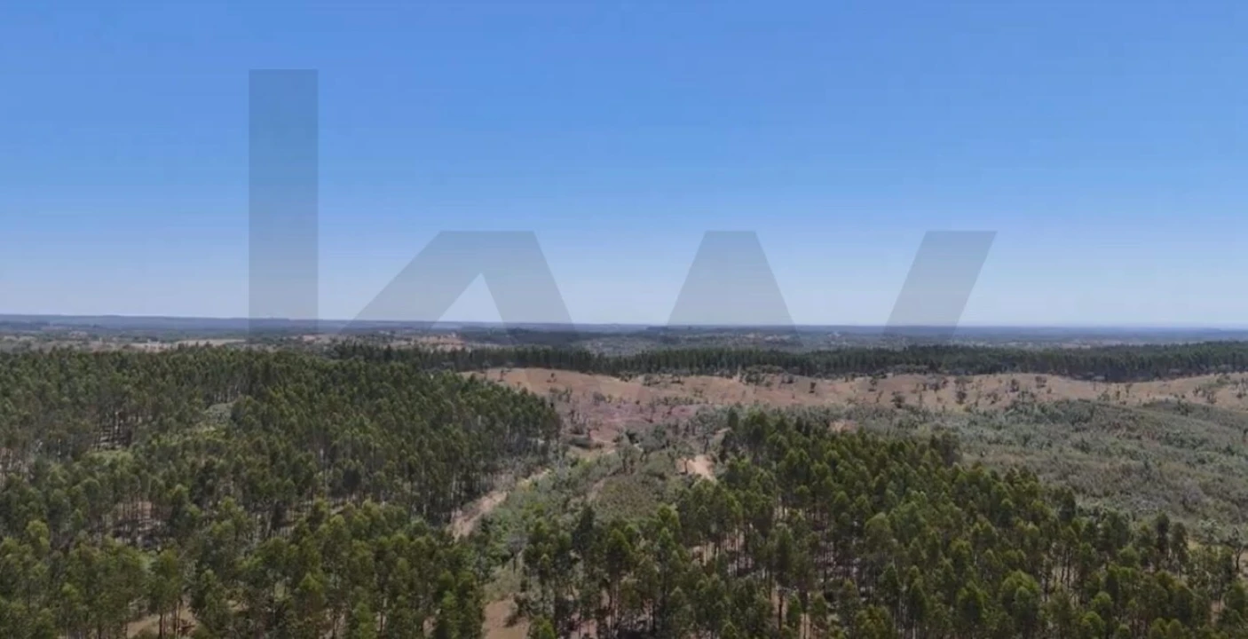 Terreno para Venda em Santiago do Cacém, Santa Cruz e São Bartolomeu da Serra Foto 16