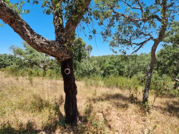 Terreno para Venda em Santiago do Cacém, Santa Cruz e São Bartolomeu da Serra