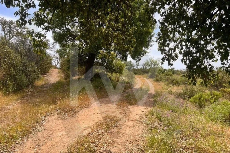 Terreno para Venda em Santiago do Cacém, Santa Cruz e São Bartolomeu da Serra Foto 25