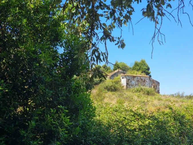 Terreno para Venda em Santiago do Cacém, Santa Cruz e São Bartolomeu da Serra Foto 15