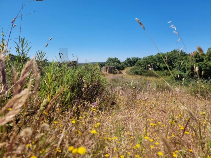 Terreno para Venda em Santiago do Cacém, Santa Cruz e São Bartolomeu da Serra Foto 26