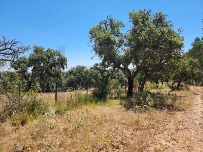 Terreno para Venda em Santiago do Cacém, Santa Cruz e São Bartolomeu da Serra Foto 33