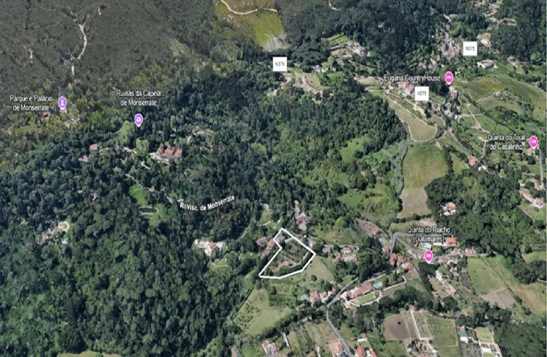 Terreno para Venda em Santa Maria e São Miguel, São Martinho, São Pedro Penaferrim Foto 7