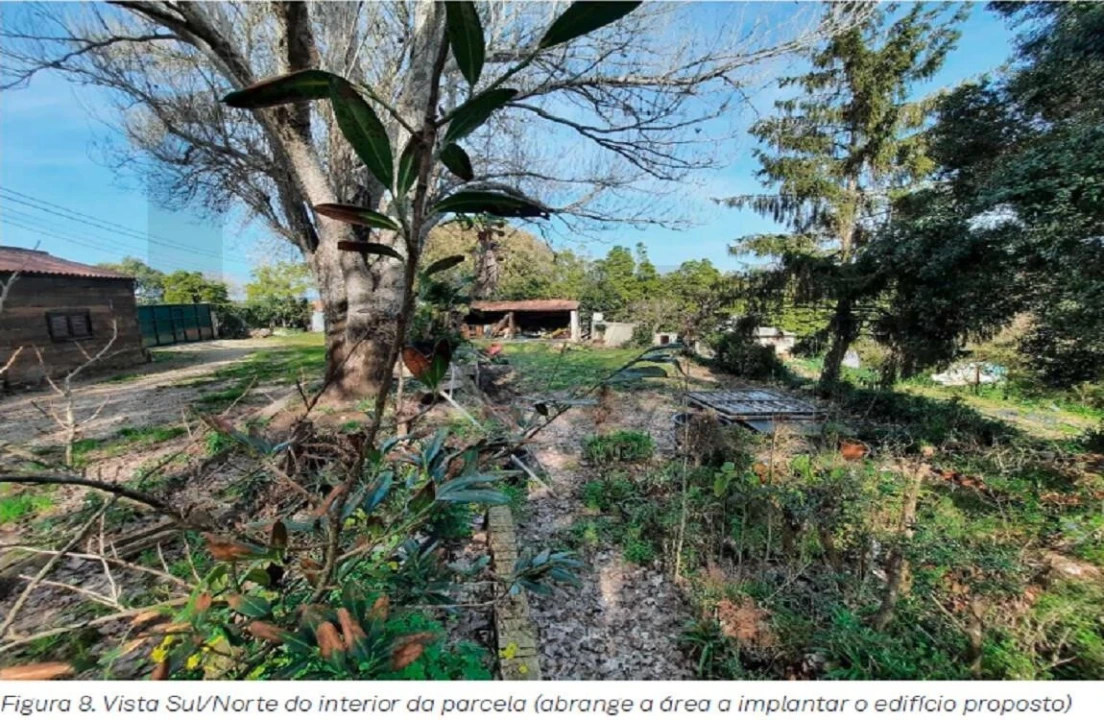 Terreno para Venda em Santa Maria e São Miguel, São Martinho, São Pedro Penaferrim Foto 4