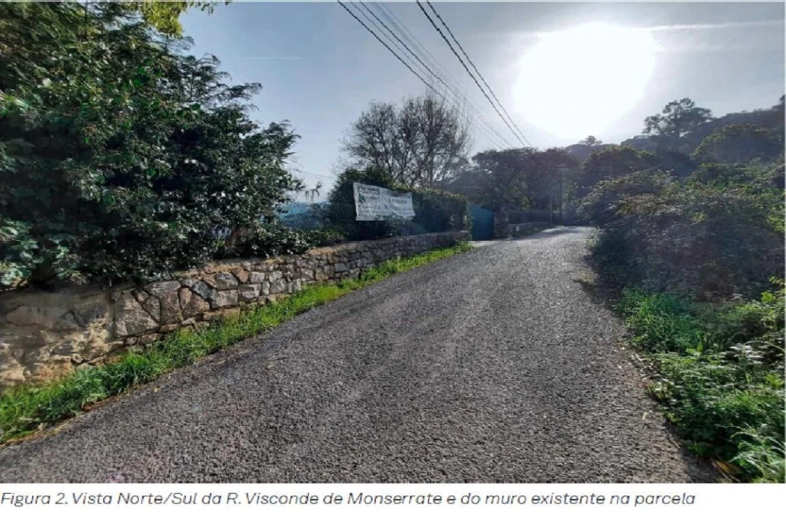 Terreno para Venda em Santa Maria e São Miguel, São Martinho, São Pedro Penaferrim Foto 9