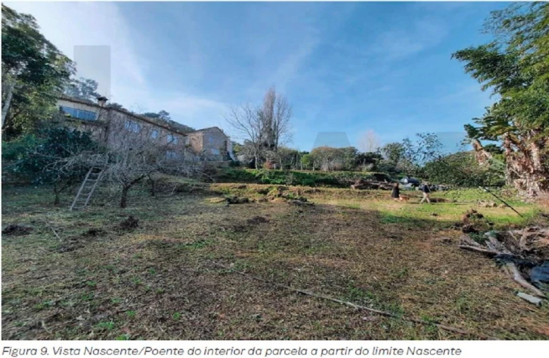 Terreno para Venda em Santa Maria e São Miguel, São Martinho, São Pedro Penaferrim Foto 3