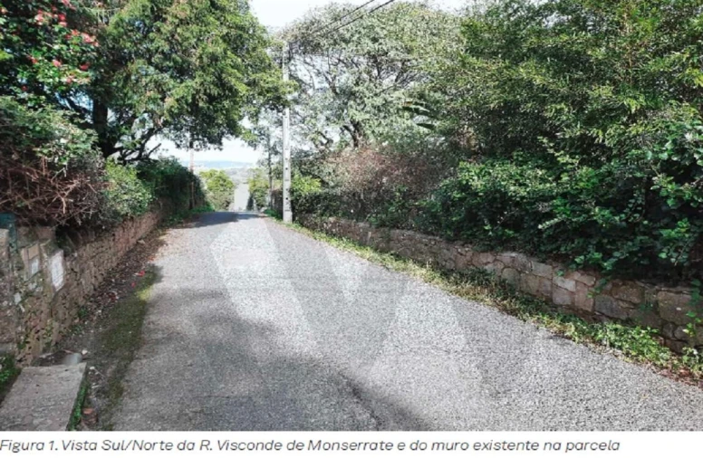 Terreno para Venda em Santa Maria e São Miguel, São Martinho, São Pedro Penaferrim Foto 8