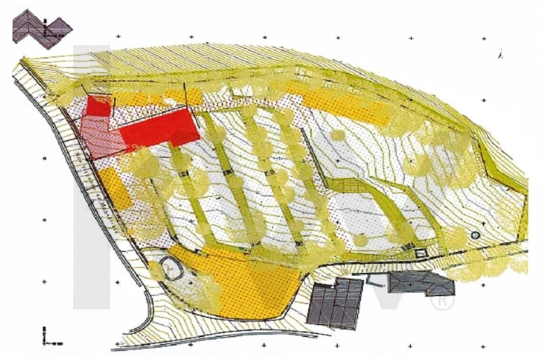 Terreno para Venda em Santa Maria e São Miguel, São Martinho, São Pedro Penaferrim Foto 19