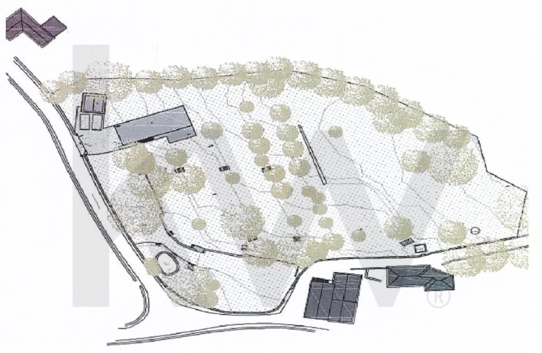 Terreno para Venda em Santa Maria e São Miguel, São Martinho, São Pedro Penaferrim Foto 20