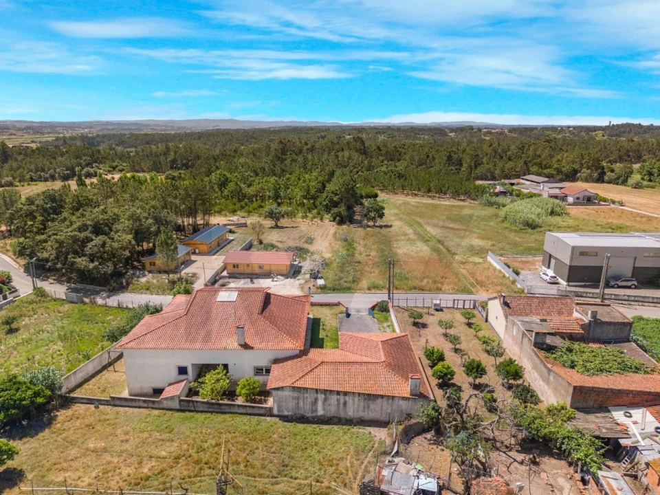 Terreno para Venda em Monte Real e Carvide Foto 1