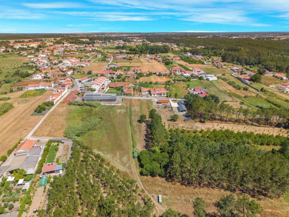 Terreno para Venda em Monte Real e Carvide Foto 2