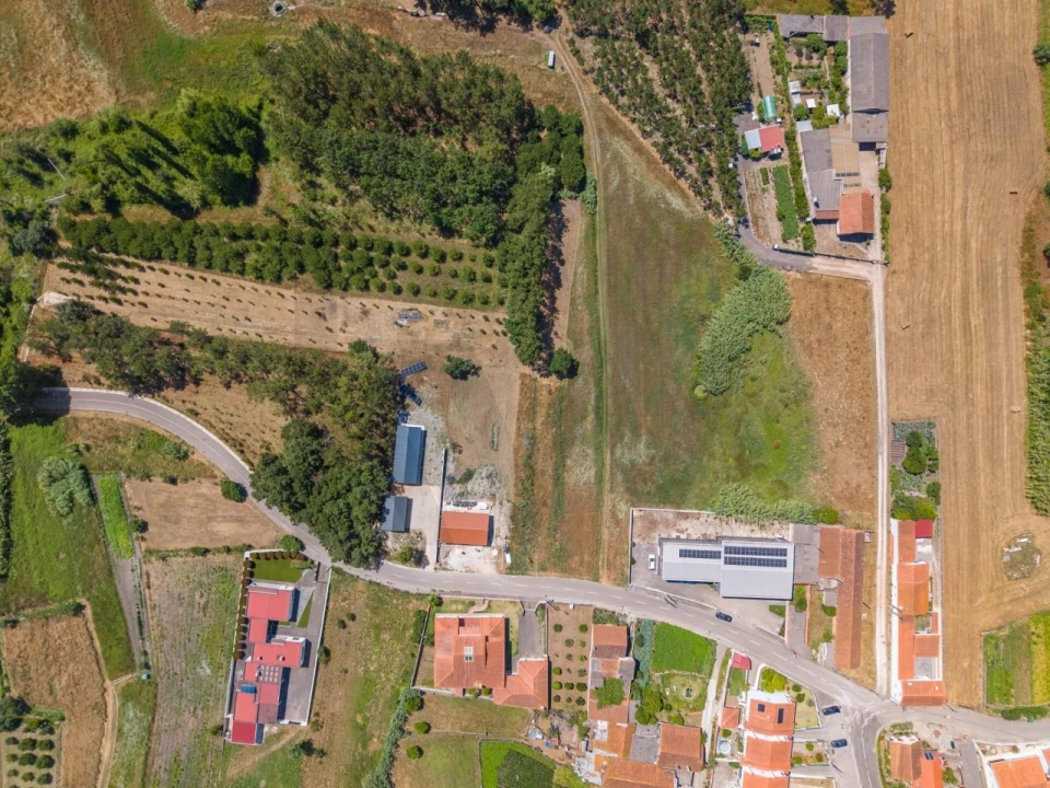 Terreno para Venda em Monte Real e Carvide Foto 4