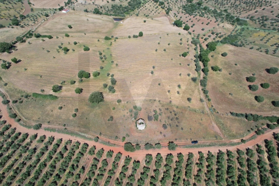 Terreno para Venda em Nossa Senhora de Machede Foto 11