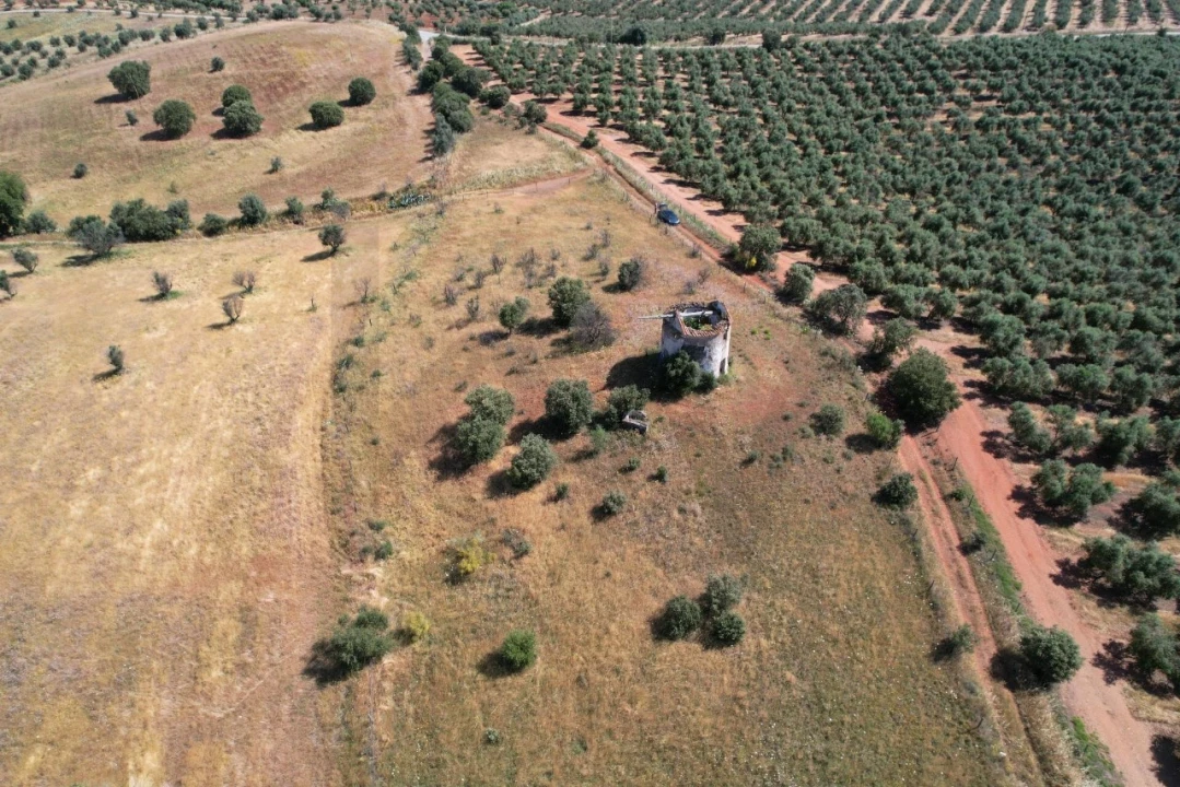 Terreno para Venda em Nossa Senhora de Machede Foto 13