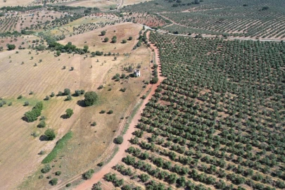 Terreno para Venda em Nossa Senhora de Machede
