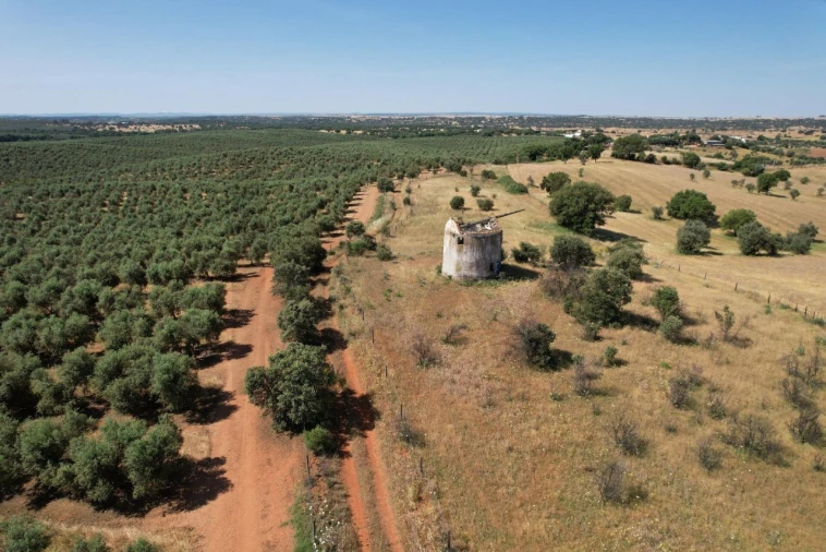 Terreno para Venda em Nossa Senhora de Machede Foto 3