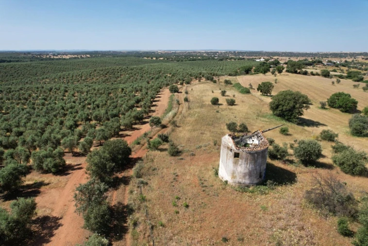Terreno para Venda em Nossa Senhora de Machede Foto 4