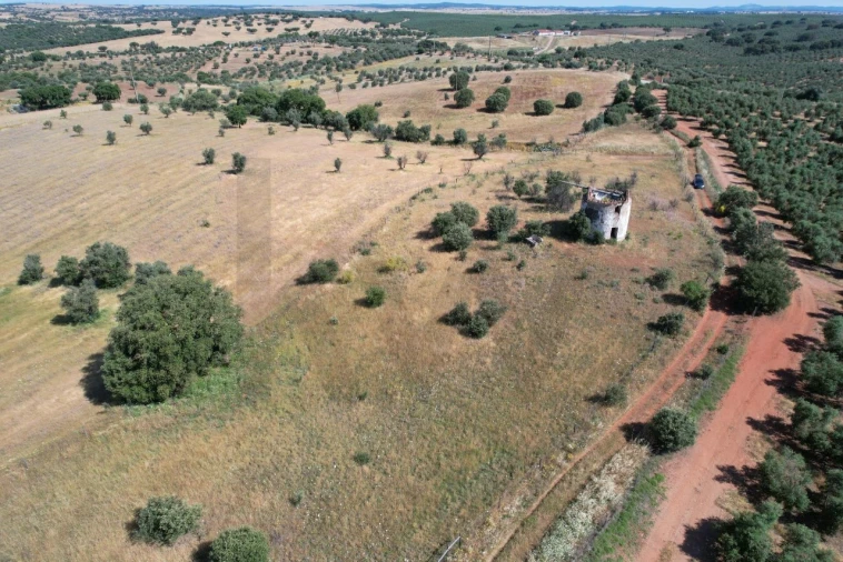 Terreno para Venda em Nossa Senhora de Machede Foto 10
