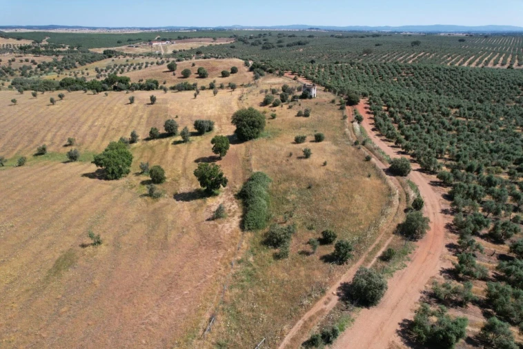 Terreno para Venda em Nossa Senhora de Machede Foto 15