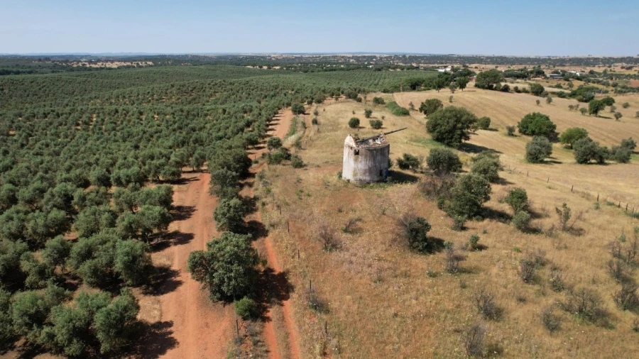 Terreno para Venda em Nossa Senhora de Machede