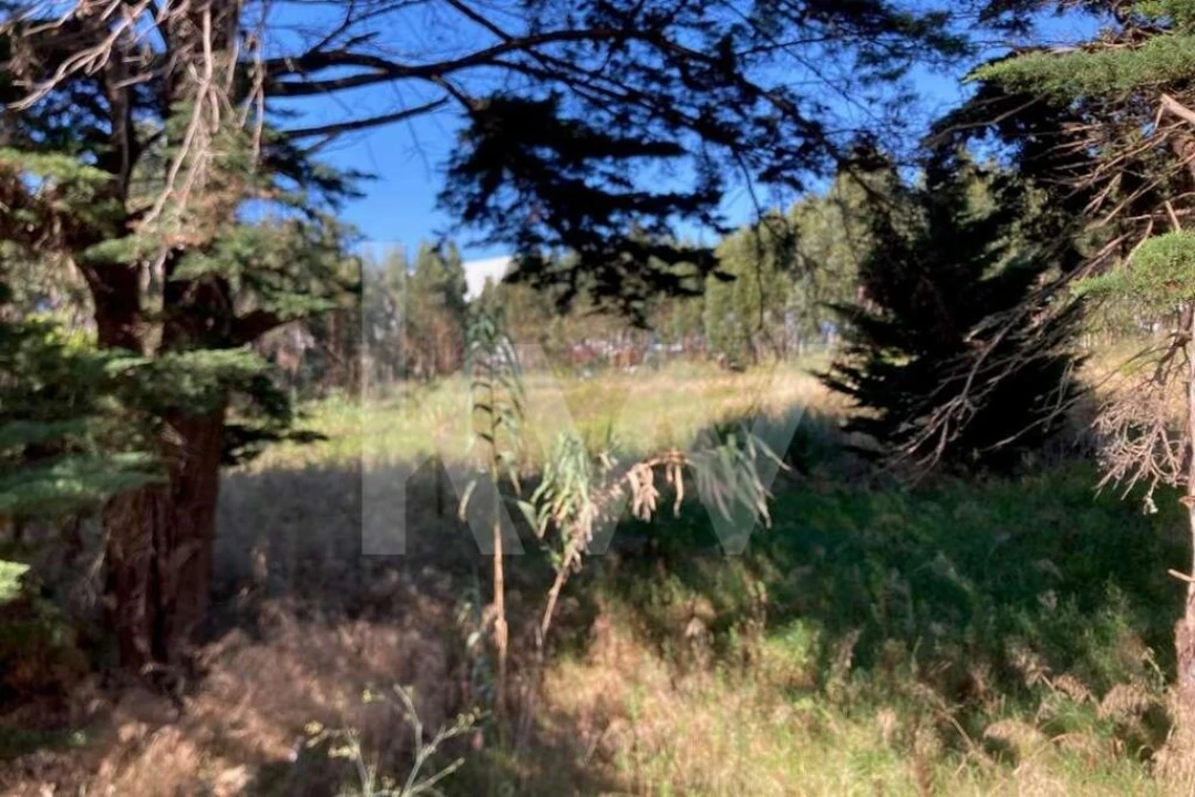 Terreno para Venda em Agualva e Mira-Sintra Foto 4