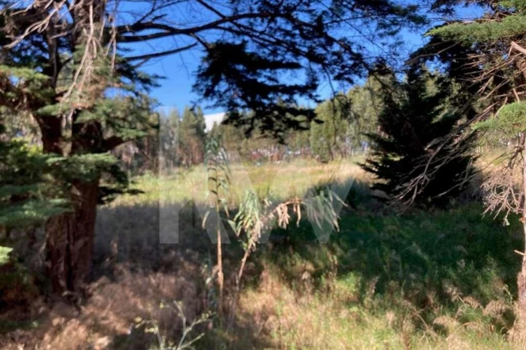 Terreno para Venda em Agualva e Mira-Sintra Foto 4