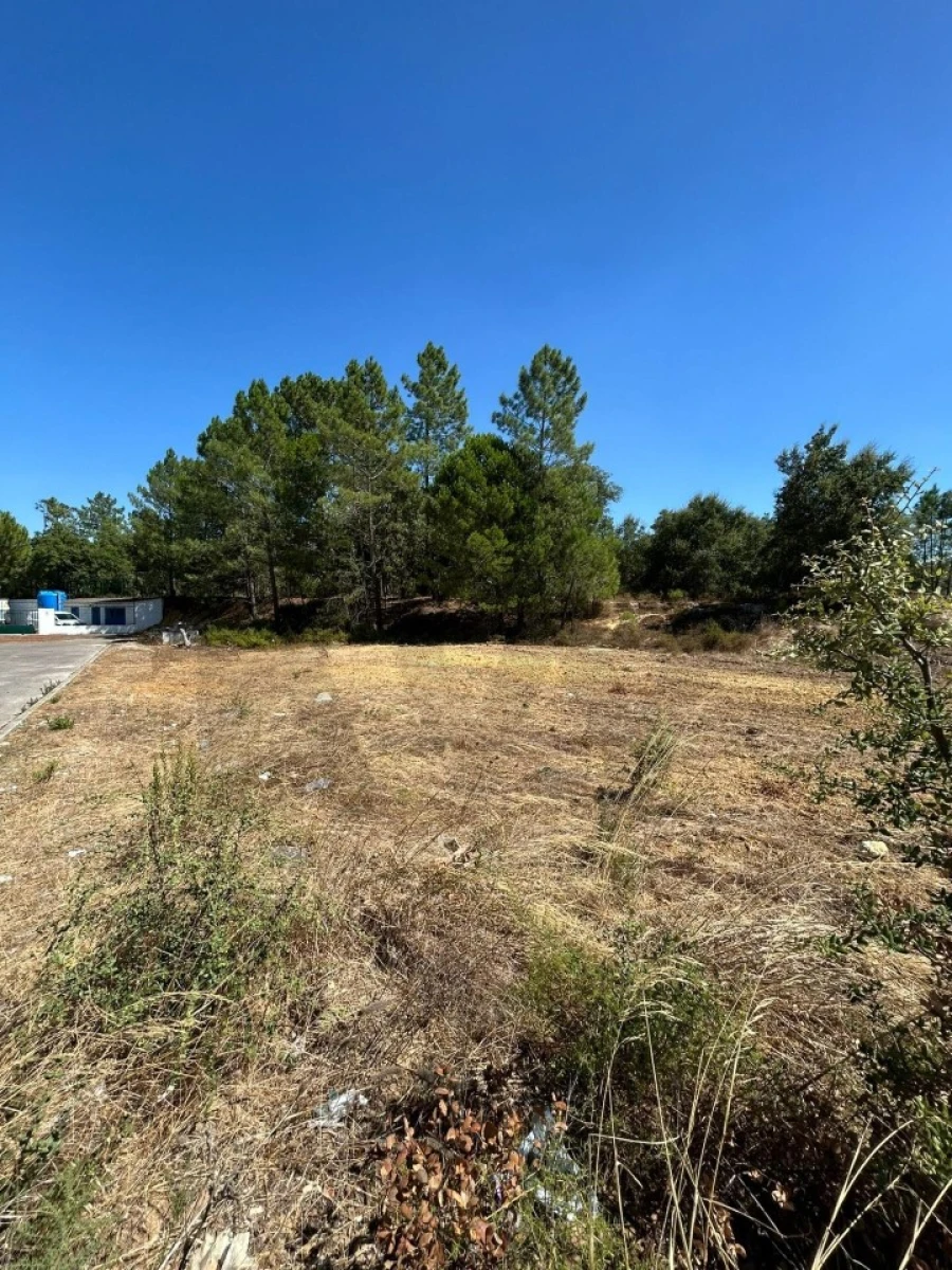 Terreno para Venda em Palmela Foto 7