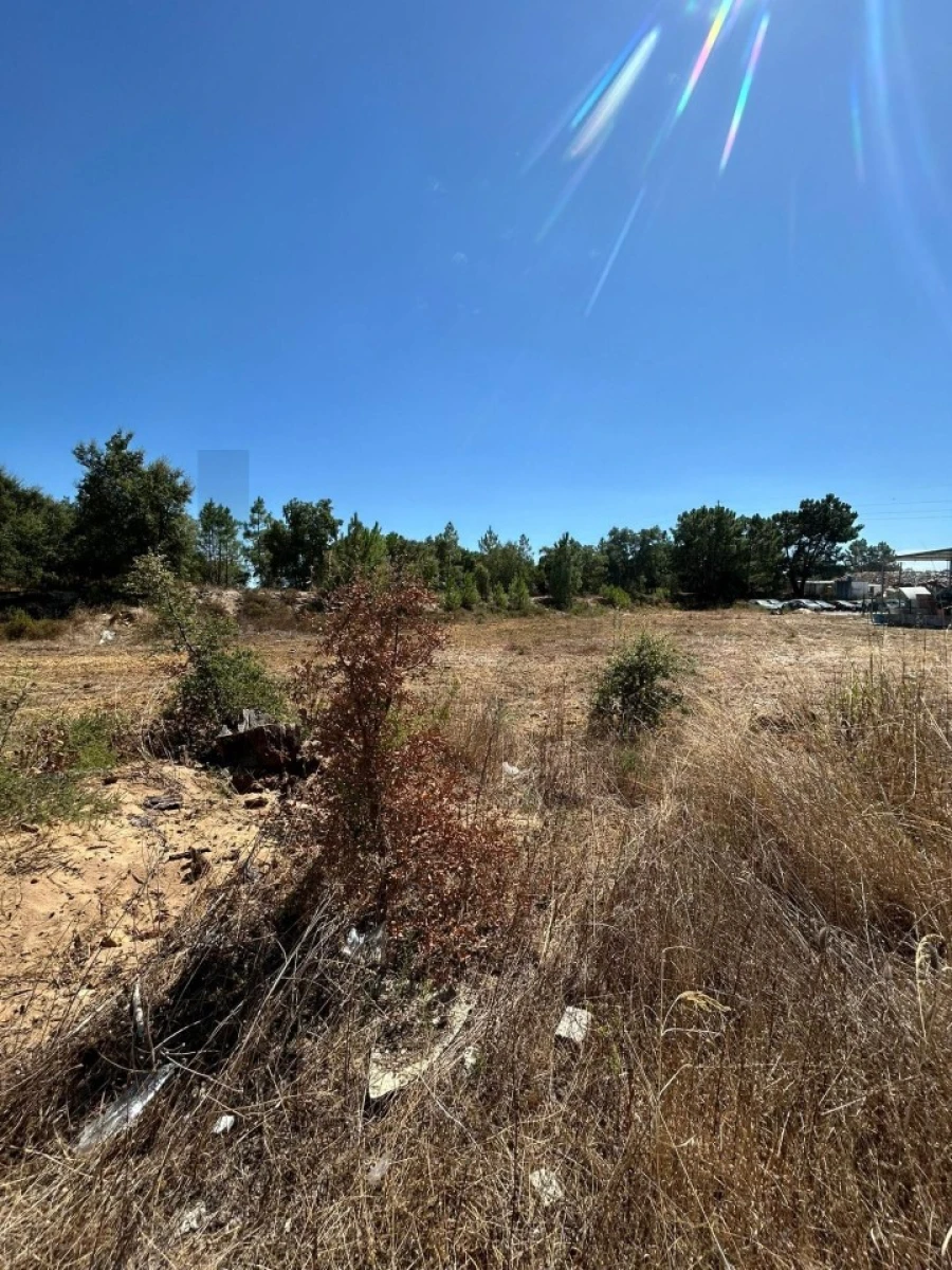 Terreno para Venda em Palmela Foto 8