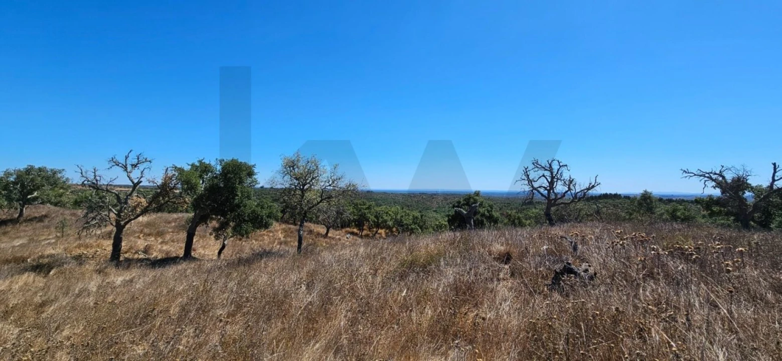 Terreno para Venda em São Francisco da Serra Foto 2