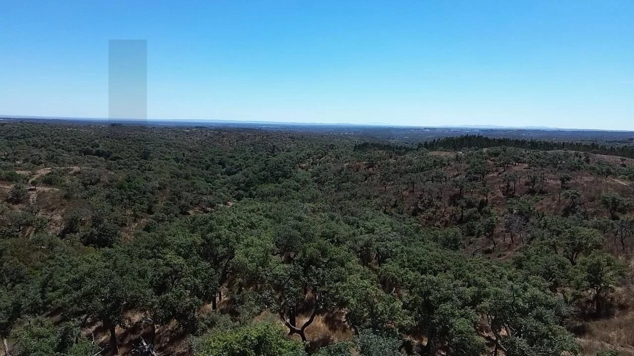 Terreno para Venda em São Francisco da Serra Foto 14