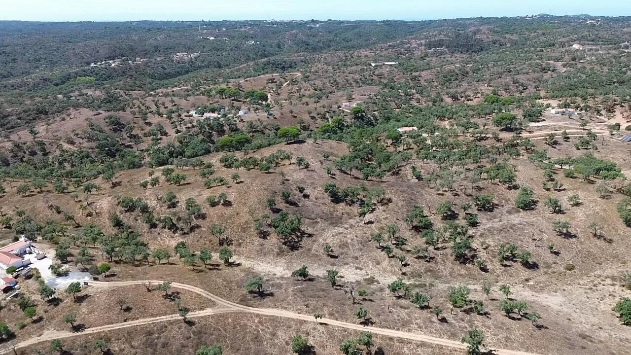 Terreno para Venda em São Francisco da Serra Foto 18